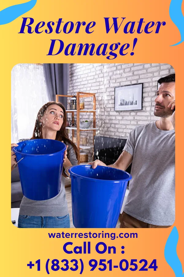 water restoration Priority Disaster Cleanup Group Roswell