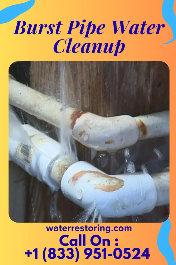 Burst Pipe Water Cleanup in Roswell, OH