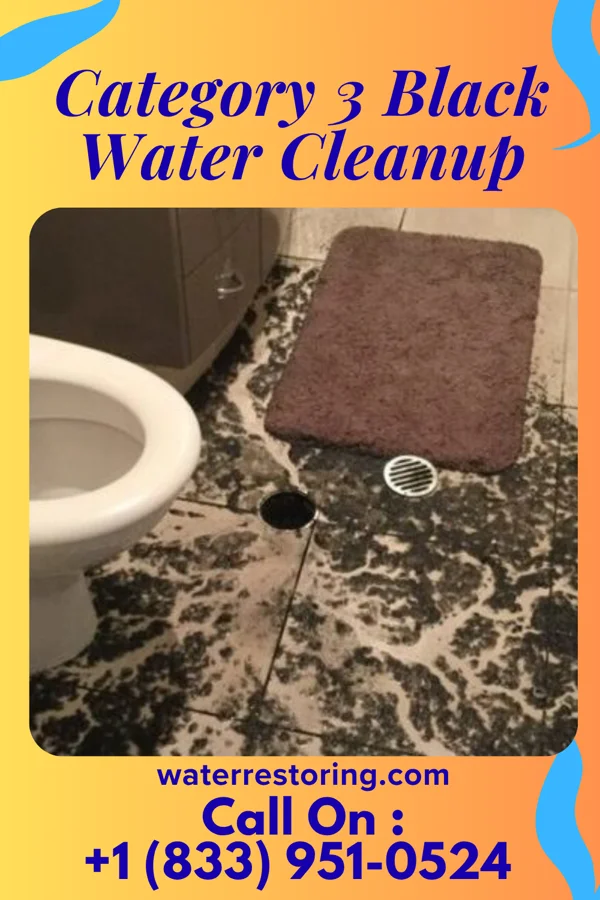 Category 3 Black Water Cleanup in Roswell, OH