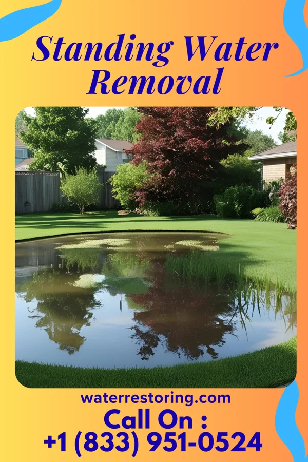 Standing Water Removal in Roswell, OH